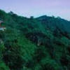 phuongvinguyen